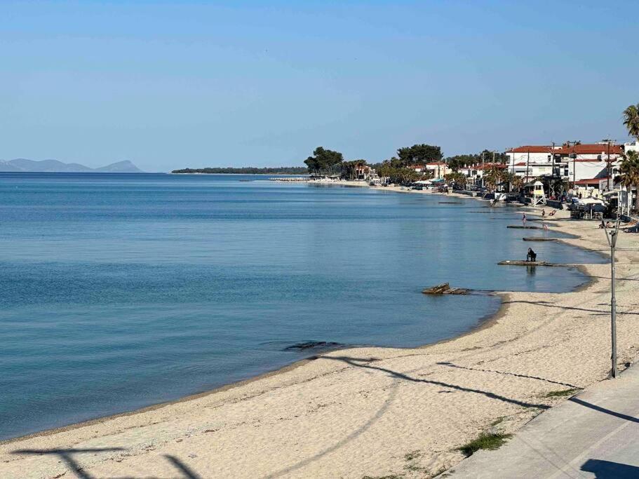 Anemomylos By The Sea Pefkochori Exterior photo